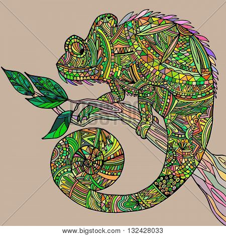 Сhameleon on a tree branch. Multicolor vector