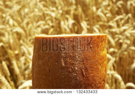 Fresh Bread before Cornfield. Summer field before harvest