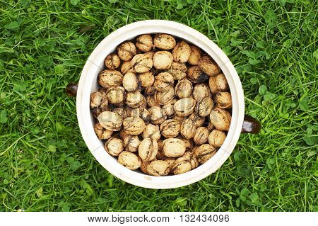 Clay pot full of walnuts on green lawn