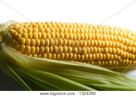 Choclos_9434