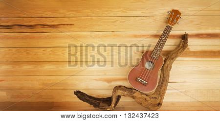 ukulele and twig in vintage style colour with jointed wooden background ukulele on timber or twig on wooden table and blank space area for text background classic brown ukulele for summer