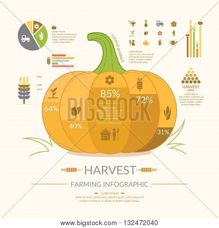 Vector illustration for infographics of the cultivation harvest of crops with pumpkin and icons in cartoon style on a light background. For design site infographics poster advertising.