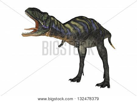 3D Rendering Dinosaur Aucasaurus On White