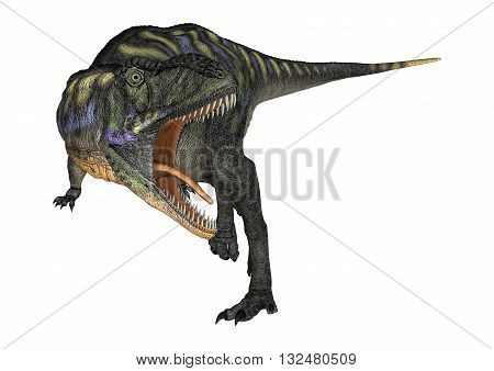 3D Rendering Dinosaur Aucasaurus On White