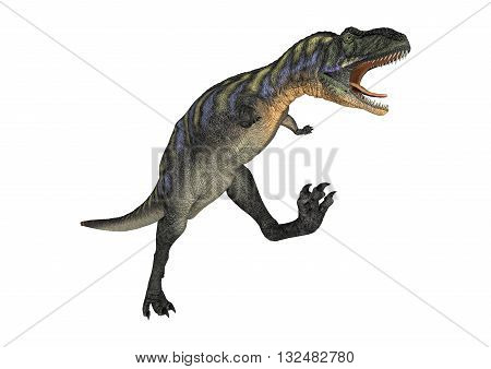 3D Rendering Dinosaur Aucasaurus On White
