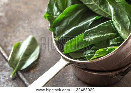 Fresh spinach in the copper pot vitamin, horizontal