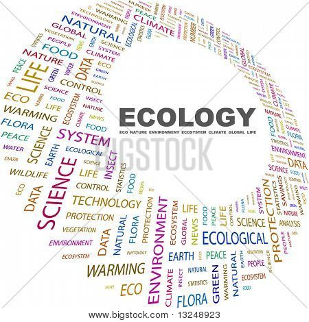 ECOLOGY. Word collage on white background. Illustration with different association terms.