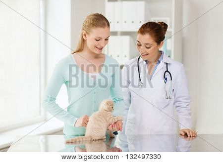 medicine, pet, animals, health care and people concept - happy woman and veterinarian doctor with stethoscope checking scottish fold kitten up at vet clinic