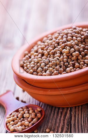 Coriander