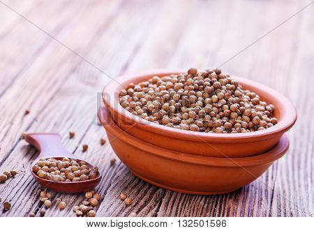 Coriander