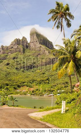 Mount Otemanu wih lagoon and palm trees in Bora Bora French Polynesia