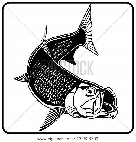 Tarpon White