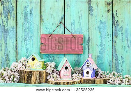 Blank pink sign hanging over colorful birdhouses on cedar logs by spring tree blossoms on antique rustic mint green wood background; pink, yellow and purple birdhouses