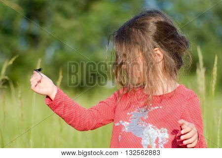 Young child looking at damselfly on hand. A small girl looks intently at an insect sitting on her finger in a beautiful meadow