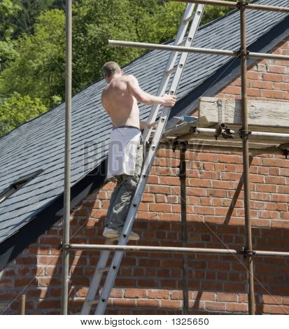 Tvůrce