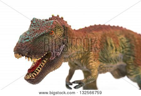 tyrannosaurus opening the mouth on a white background