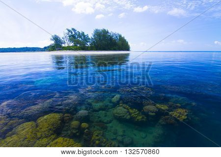 Beautiful Coral in Koh Matsum Island.Koh Samui surat thani Thailand.