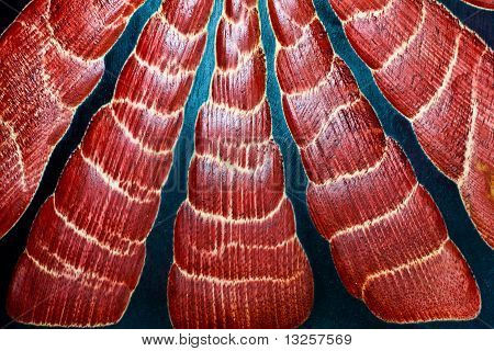 Legno rosso nero