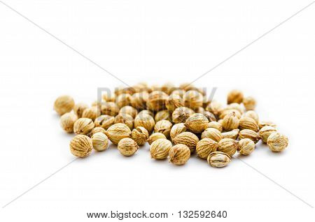 The coriander seeds iaolate on white background