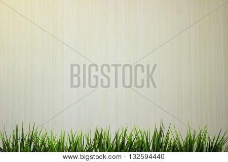 Green grass Isolated on white background with copypaste space