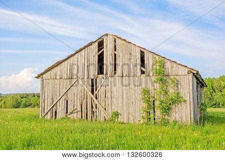Old grey weathered barn on green meadow blue sky with clouds
