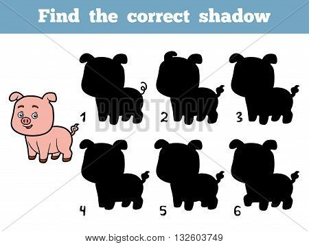 Find The Correct Shadow. Little Pig