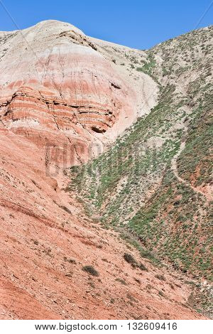 Landscape of the mountain Bogdo. Russia. Vertical composition