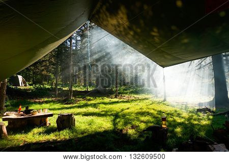 View from the tent at the woods at smoke of fire.