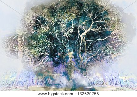 Giant rubber trees and fountain in the Plaza Gabriel Miro. Famous place in Alicante city Spain. Digital watercolor painting