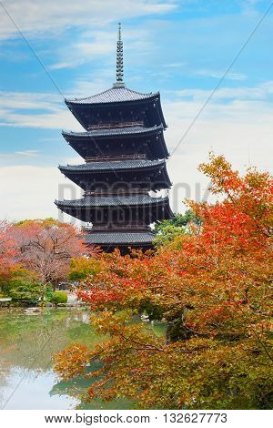 Autumn at Toji Temple in Kyoto Japan
