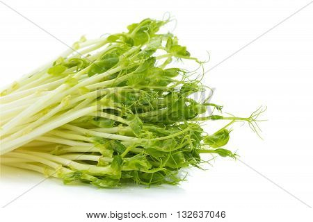 Snow Pea Sprouts On White Background
