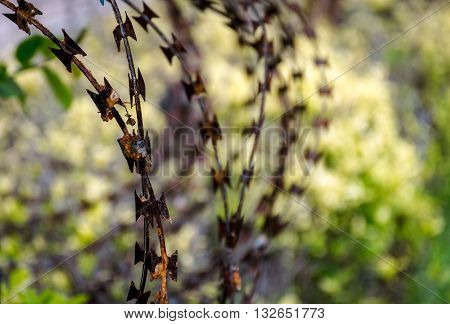 The Old Barbed wire two lines cross each other with a background of green trees.