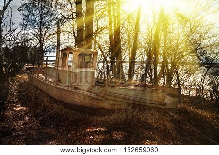 Deserted rusty ship on the coast amongst the trees.