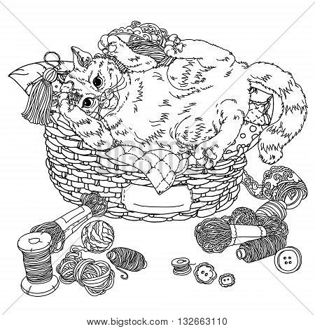 Uncolored Sketch illustration in coloring book style of playful cats. Hand-drawn, vector could be for colouring books. the best for your design, colouring cards, adult coloring book. Black and white.