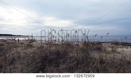 Baltic sea coast. Landscape view. Spring sea