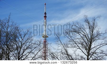 Mobile tower located in city park. In trees.