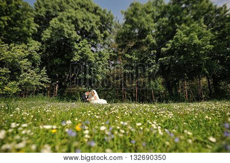 Wedding Couple Sitting In The Meadow Of Spring Flowers At Sunny Day. Tilt-shift Lence Photo