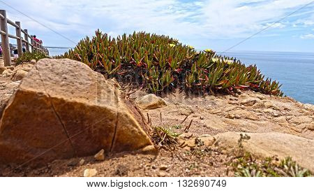 Tiny mountain scenery, maximized. Rock in contrast with vegetation and clear blue sky.