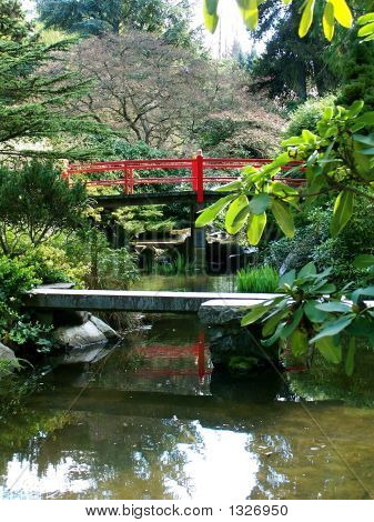 Bridges In Kubota Garden