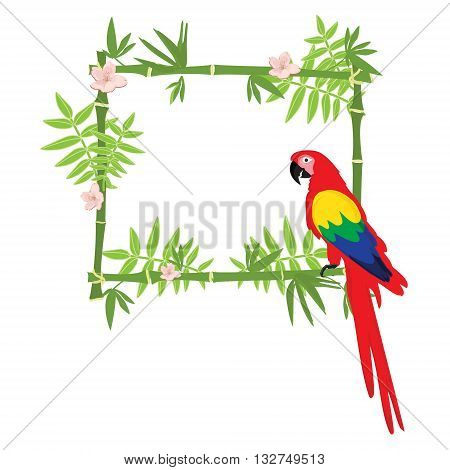 Vector illustration tropical island frame border poster with exotic flowers plants and birds. Bamboo frame. Macaw parrot