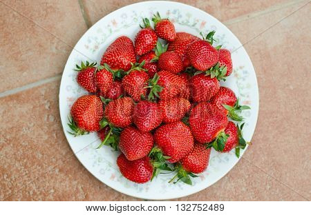 Plate of sweet red ripe handpicked strawberry.