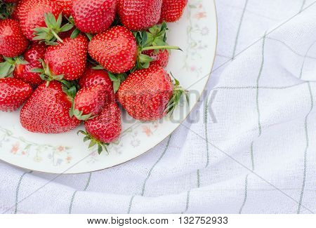 Plate of sweet red ripe handpicked strawberry.