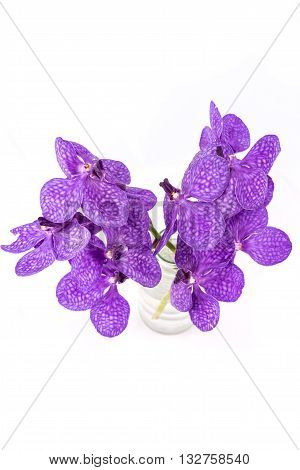 Purple Vanda Orchid, Violet Orchid In A Bottle Isolated On White Background
