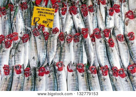 Fresh atlantic bonito for sale at a market in Istanbul