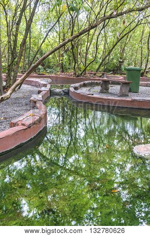 Hot spring with green tree and reflection