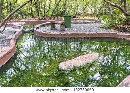 Hot spring with green tree and reflection
