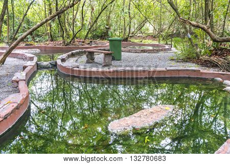 Hot spring with green tree and reflection