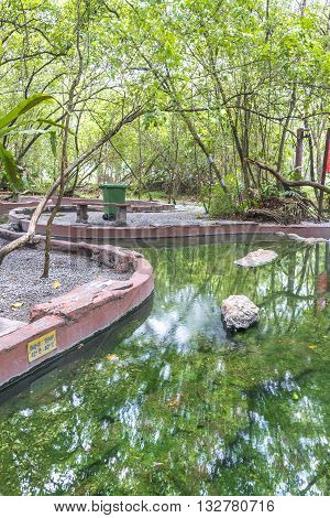 Hot spring with green tree and reflection