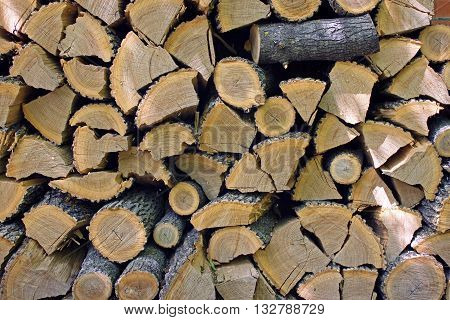 Wood harvested in the winter, stacked in the woodpile