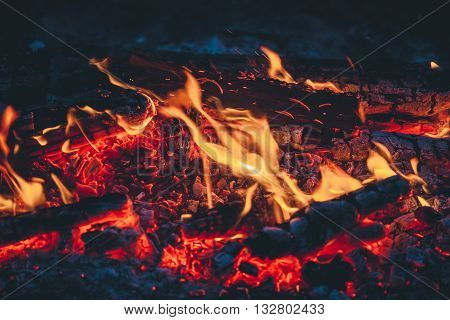 Beautiful fire close-up hike in the woods travel evening around the campfire